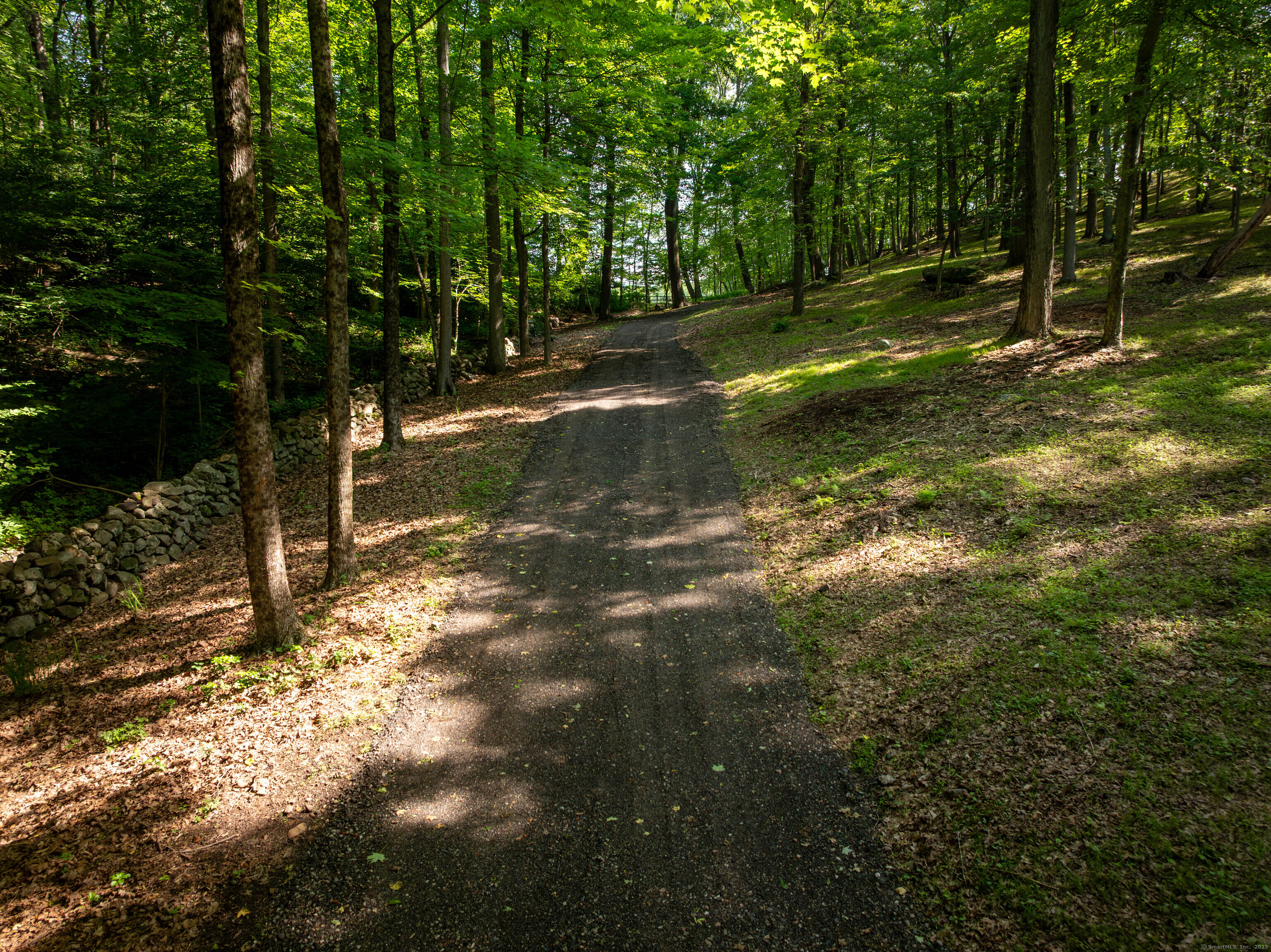 81 Mountain Road Prospect, CT 06712 - Photo 4 of 23 a view of a yard