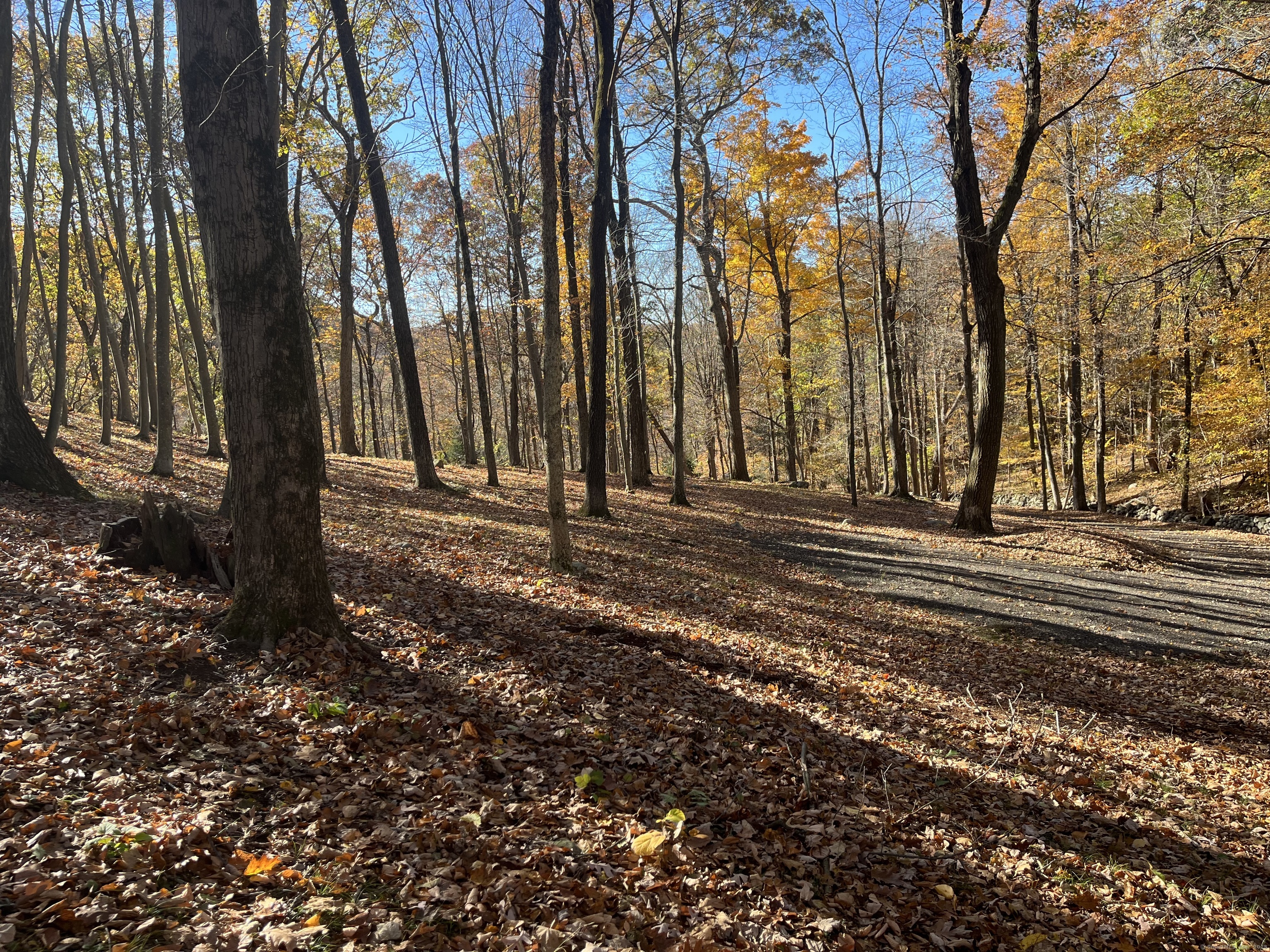 81 Mountain Road Prospect, CT 06712 - Photo 8 of 23 a view of park space