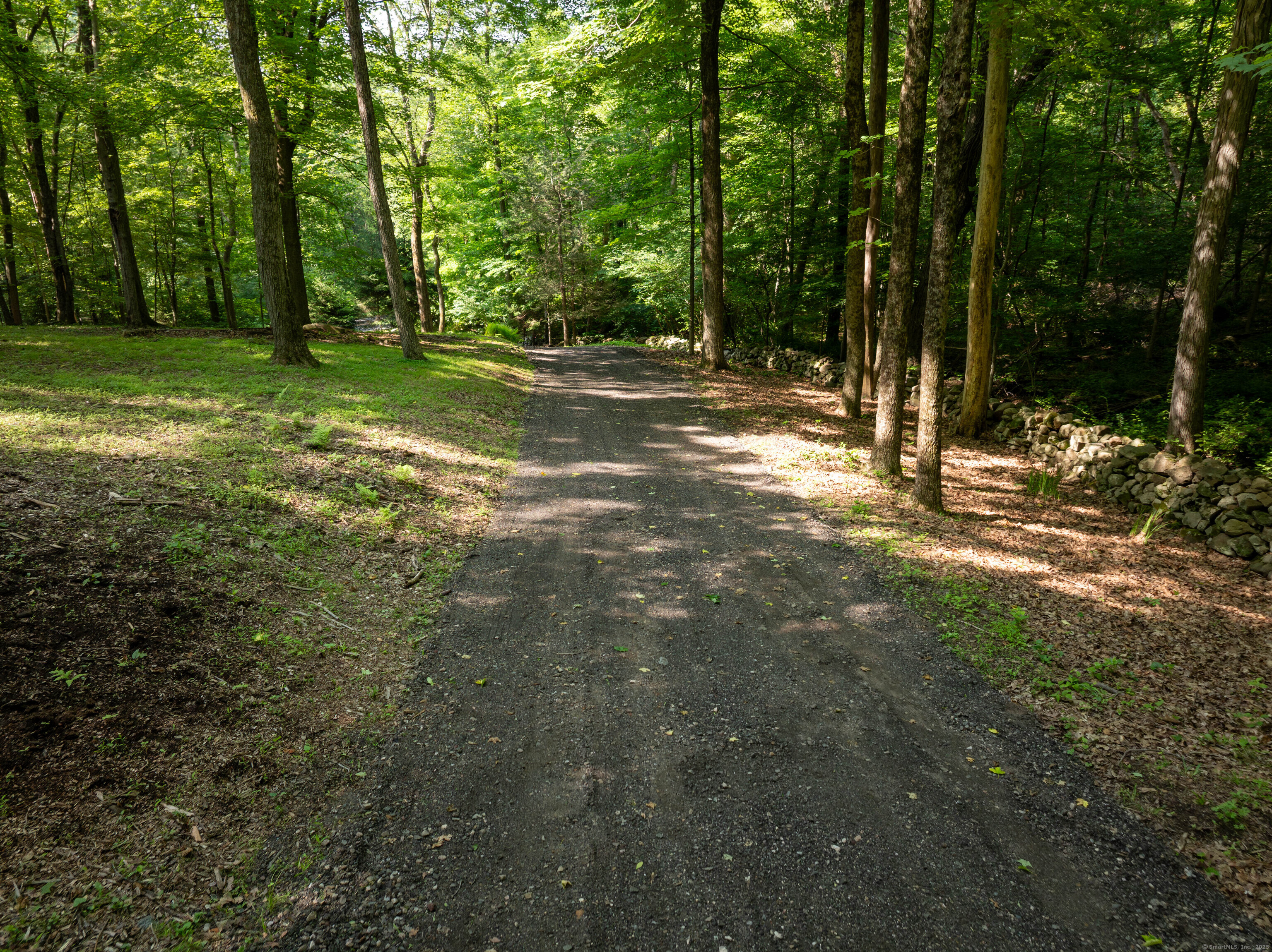 81 Mountain Road Prospect, CT 06712 - Photo 10 of 23 a view of a trees in a yard