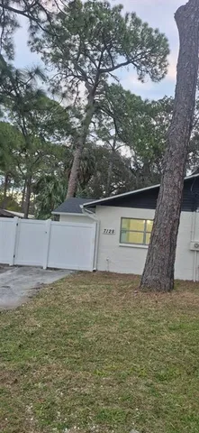a bathroom with a toilet and a bathtub