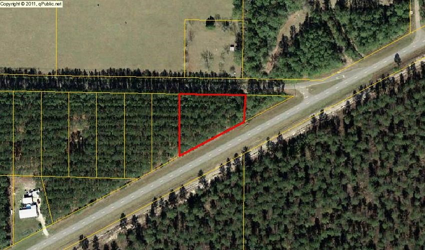 Lot 6 Borders Road Wewahitchka, FL 32465 - Photo 3 of 9