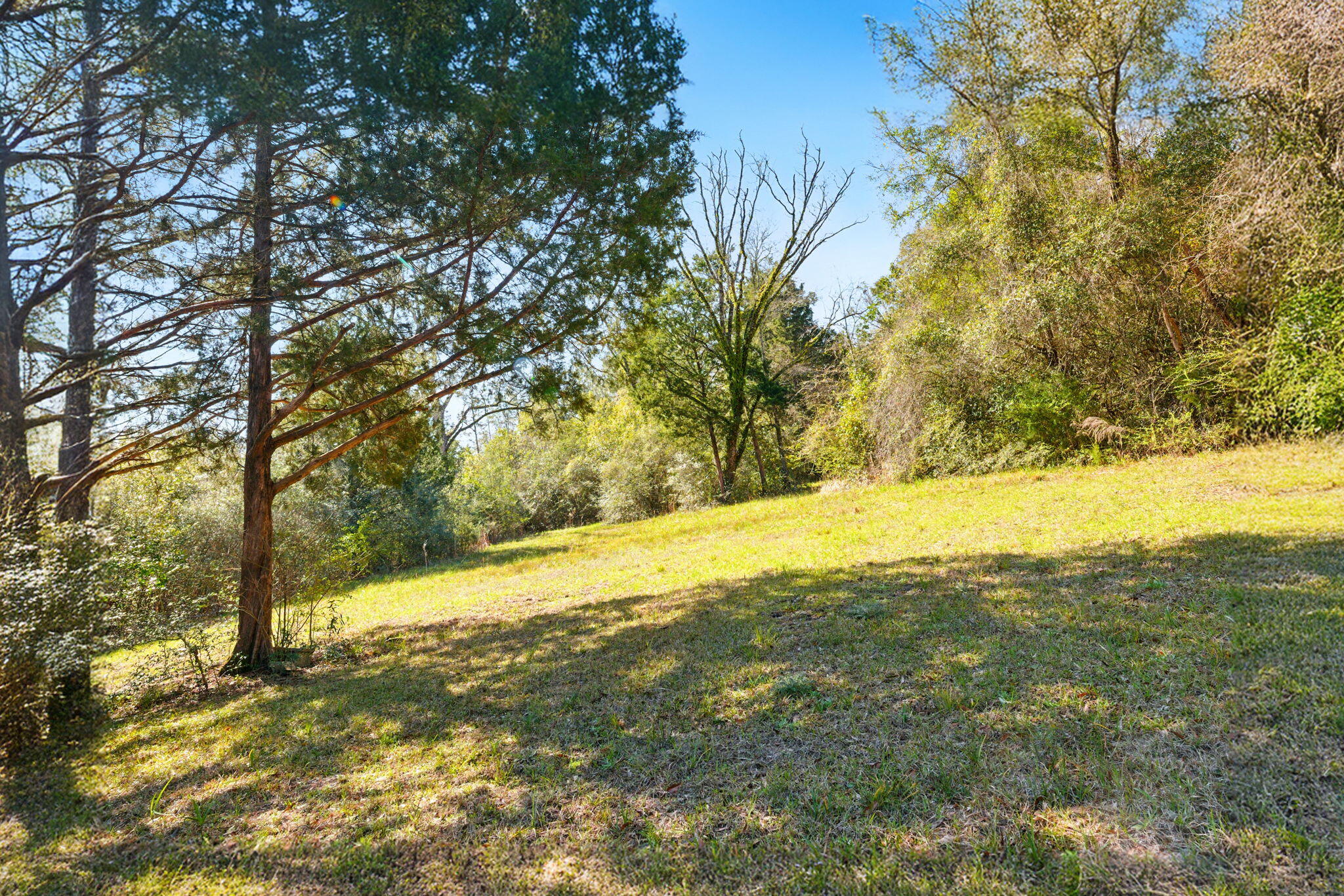834 Goodwin Road DeFuniak Springs, FL 32435 - Photo 19 of 27 19-web-or-mls-834 Goodwin Rd18