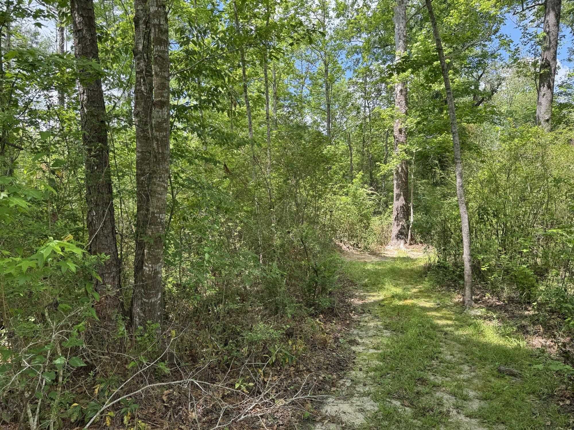 15760 Pine Grove Rd Extension West Bay Minette, AL 36507 - Photo 20 of 22 View
