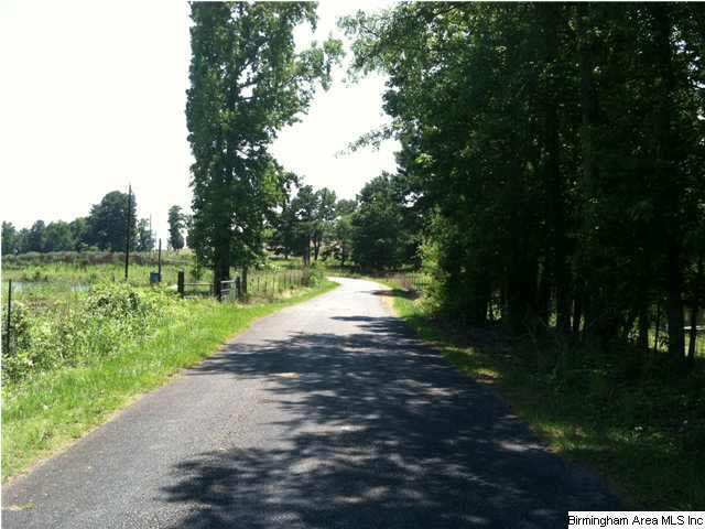 Sweatt Road, Unit 32 5 Ashville, AL 35953 - Photo 3 of 6