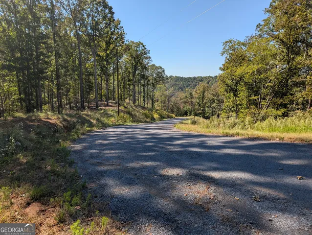 a view of dirt yard with a large tree