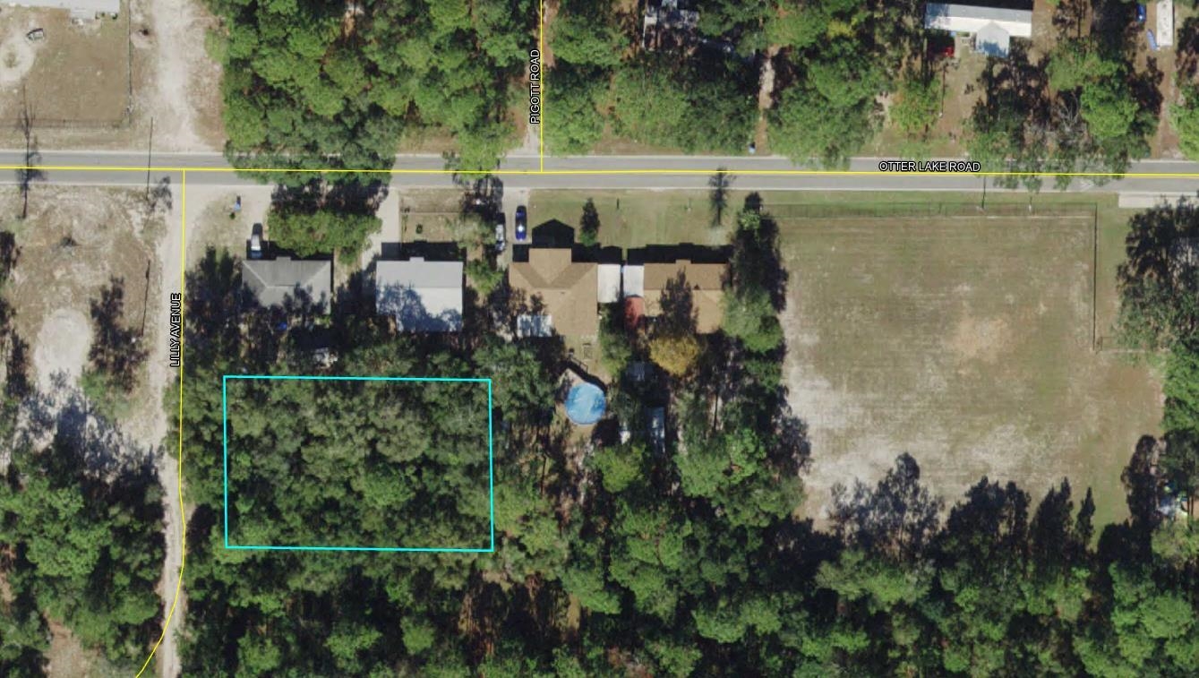 Xx Lilly Avenue Panacea, FL 32346 - Photo 4 of 7