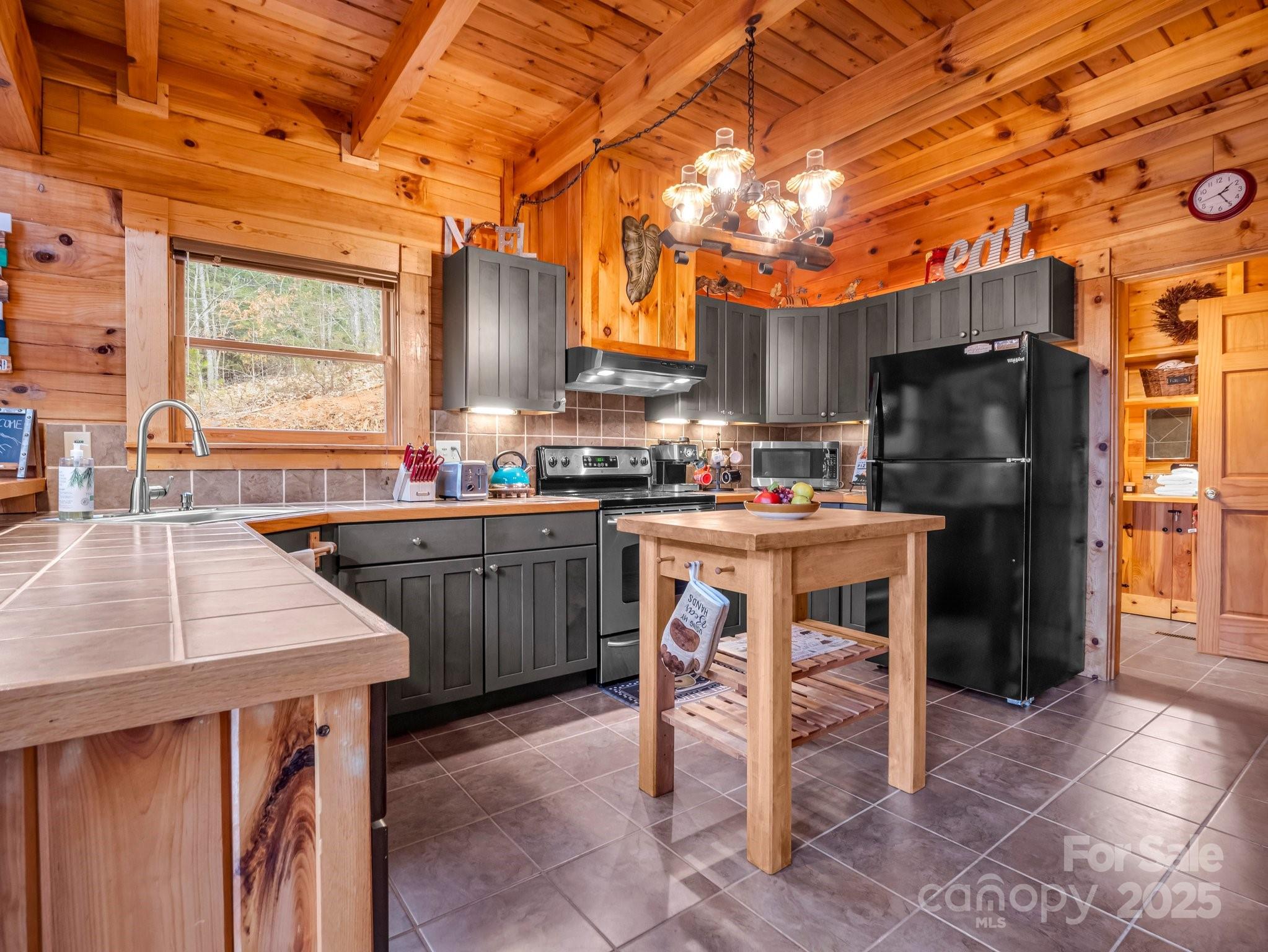 206 Dennis Ridge Bostic, NC 28018 - Photo 17 of 40 a kitchen with a sink a counter and appliances