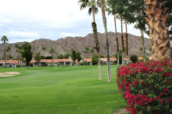 a view of a garden with a building in the background