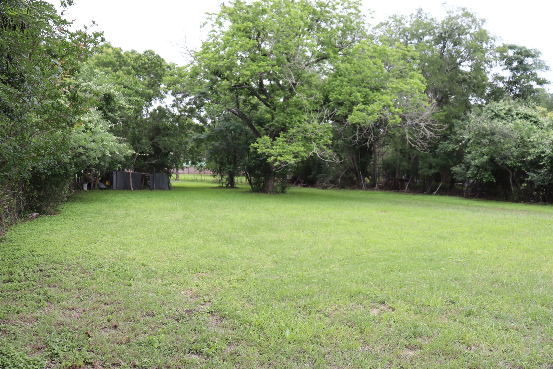 1006 Johnson Street Lockhart, TX 78644 - Photo 7 of 10 Expansive grassy area featuring mature trees along the perimeter