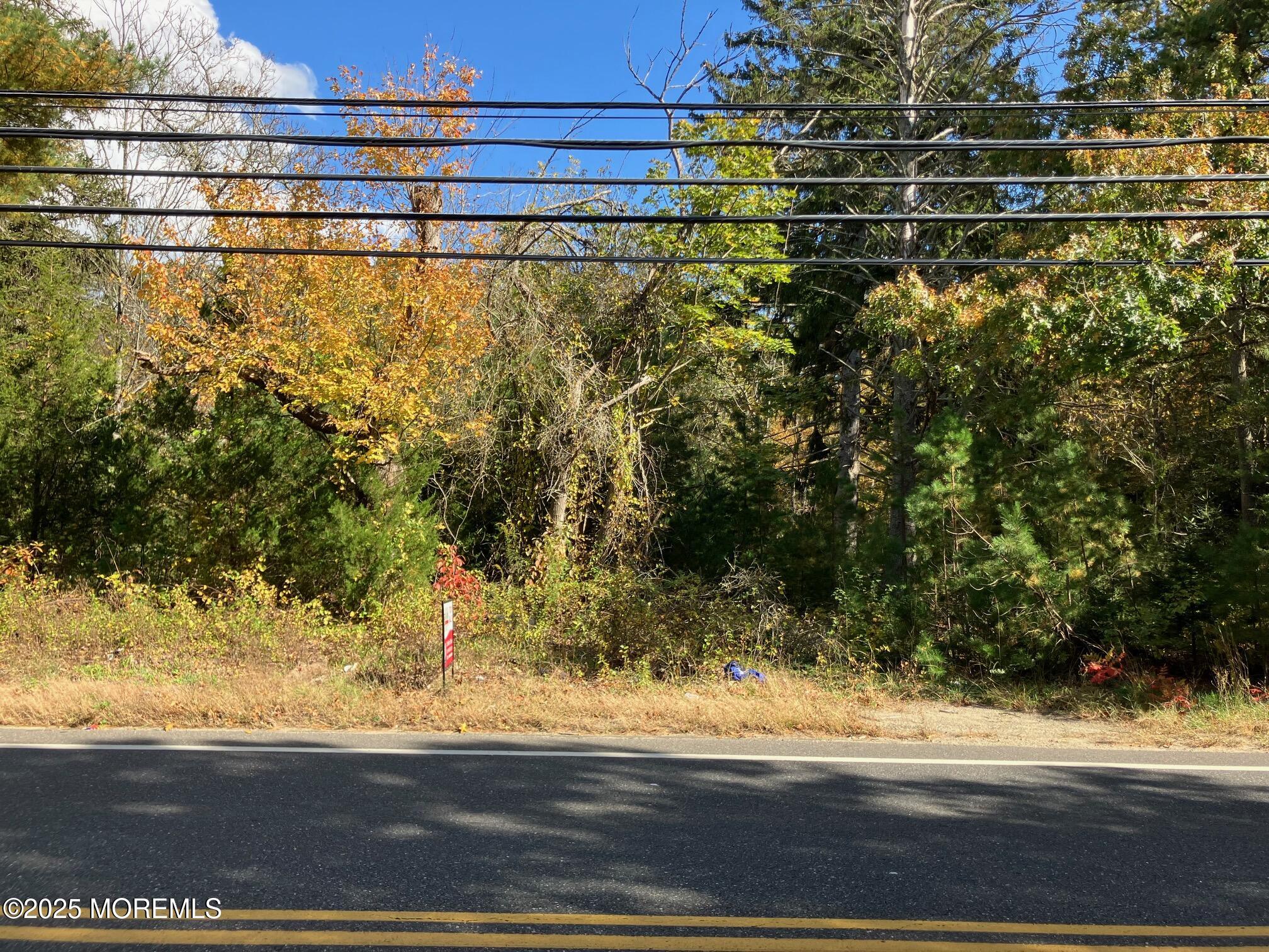 93 Toms River Road Jackson, NJ 08527 - Photo 12 of 12