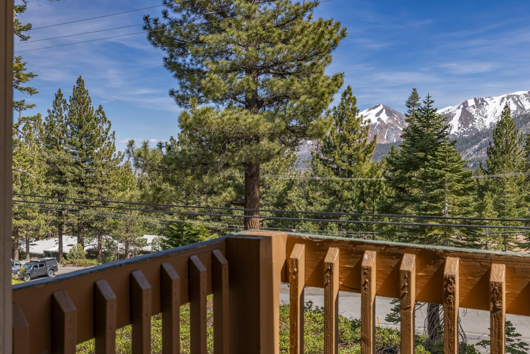 25 Lee Road, Unit 112 Mammoth Lakes, CA 93546 - Photo 29 of 38