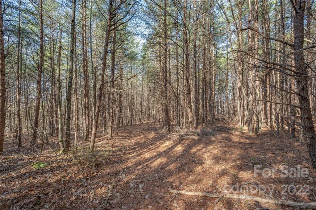 380 Happy Lane Rutherfordton, NC 28139 - Photo 40 of 45 a view of outdoor space with parking