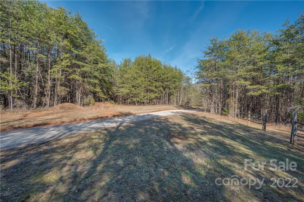 380 Happy Lane Rutherfordton, NC 28139 - Photo 43 of 45 a view of dirt yard with a large tree