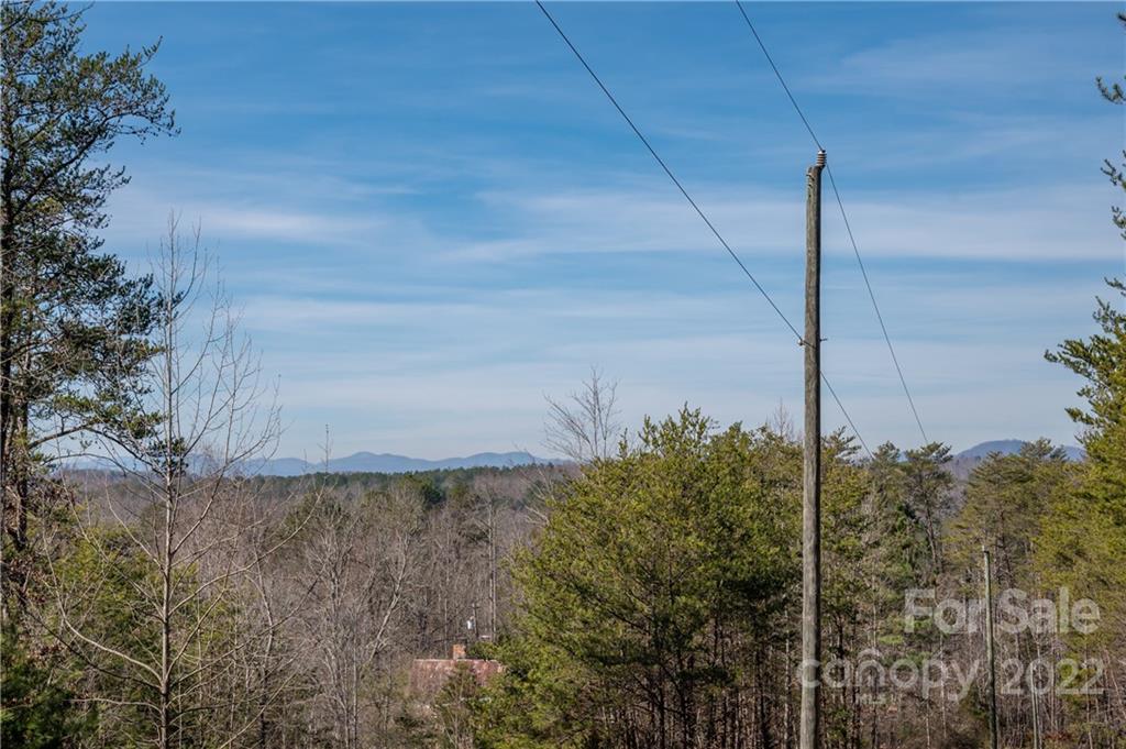 380 Happy Lane Rutherfordton, NC 28139 - Photo 45 of 45 a view of a dry yard with trees