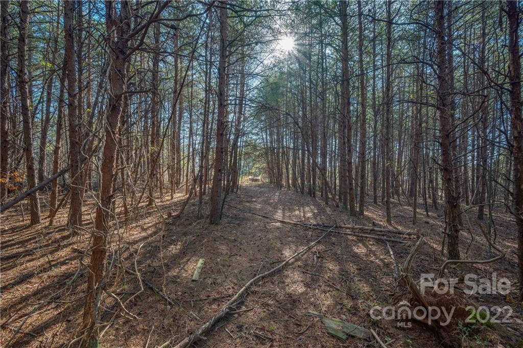380 Happy Lane Rutherfordton, NC 28139 - Photo 5 of 45 a view of a backyard