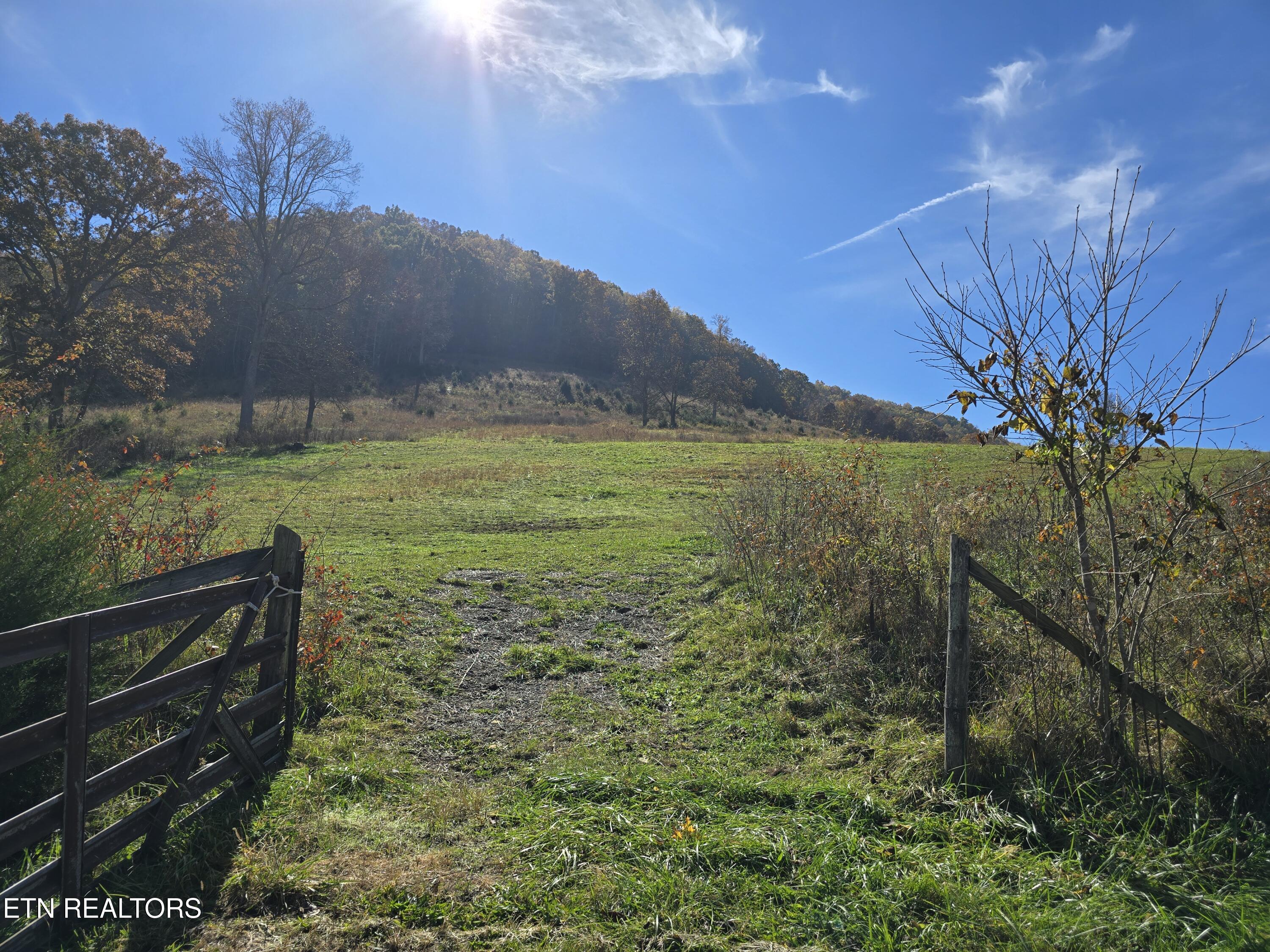2391 Hogskin Road Washburn, TN 37888 - Photo 1 of 30 2391 Hogskin Rd