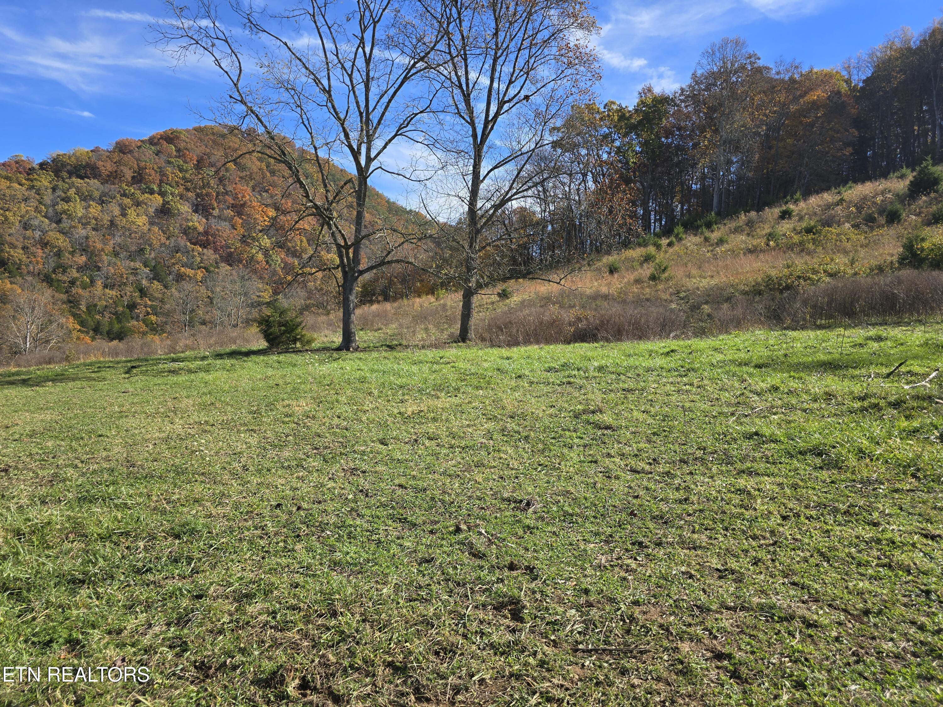 2391 Hogskin Road Washburn, TN 37888 - Photo 13 of 30 2391 Hogskin Rd
