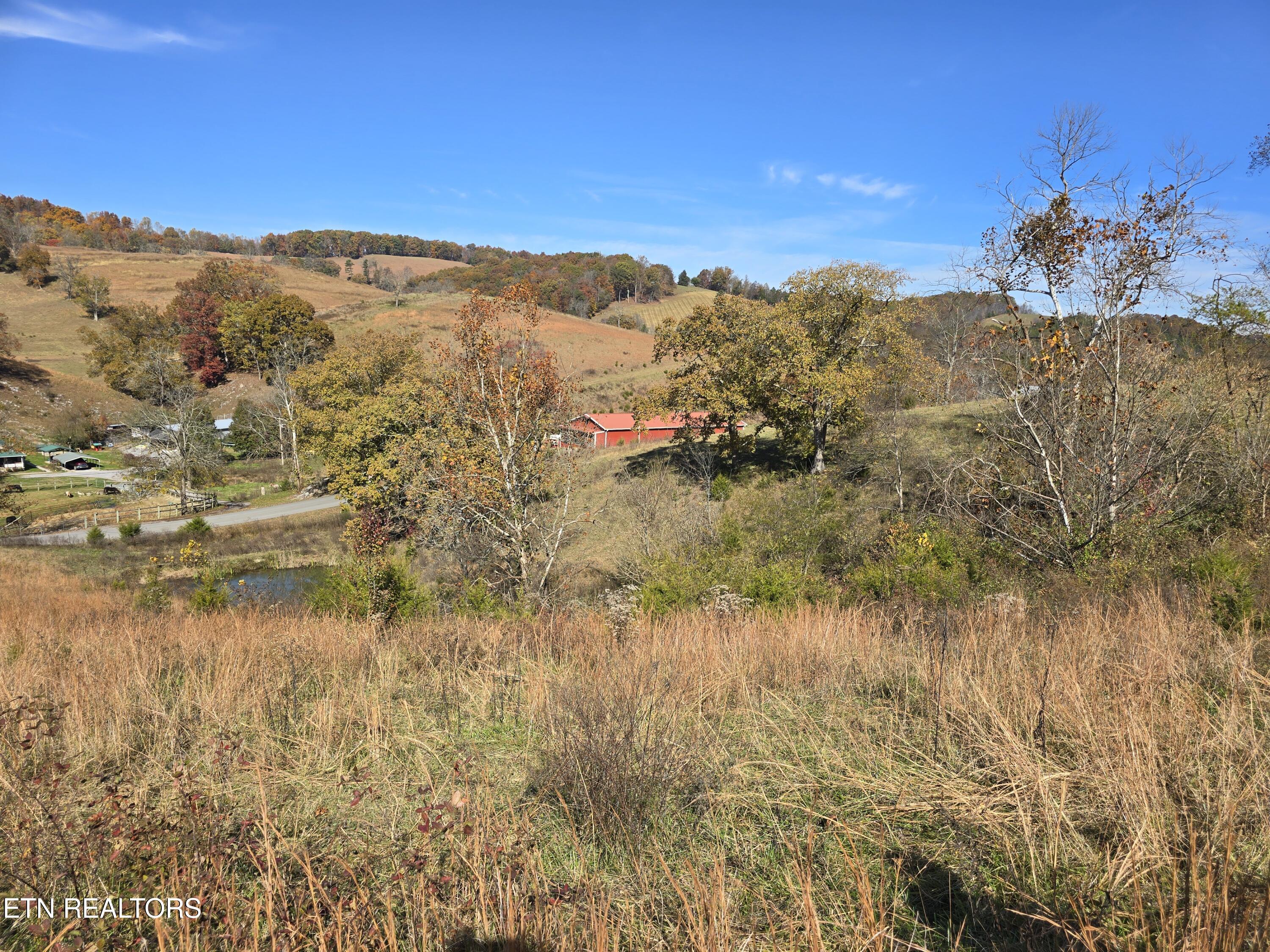 2391 Hogskin Road Washburn, TN 37888 - Photo 17 of 30 2391 Hogskin Rd
