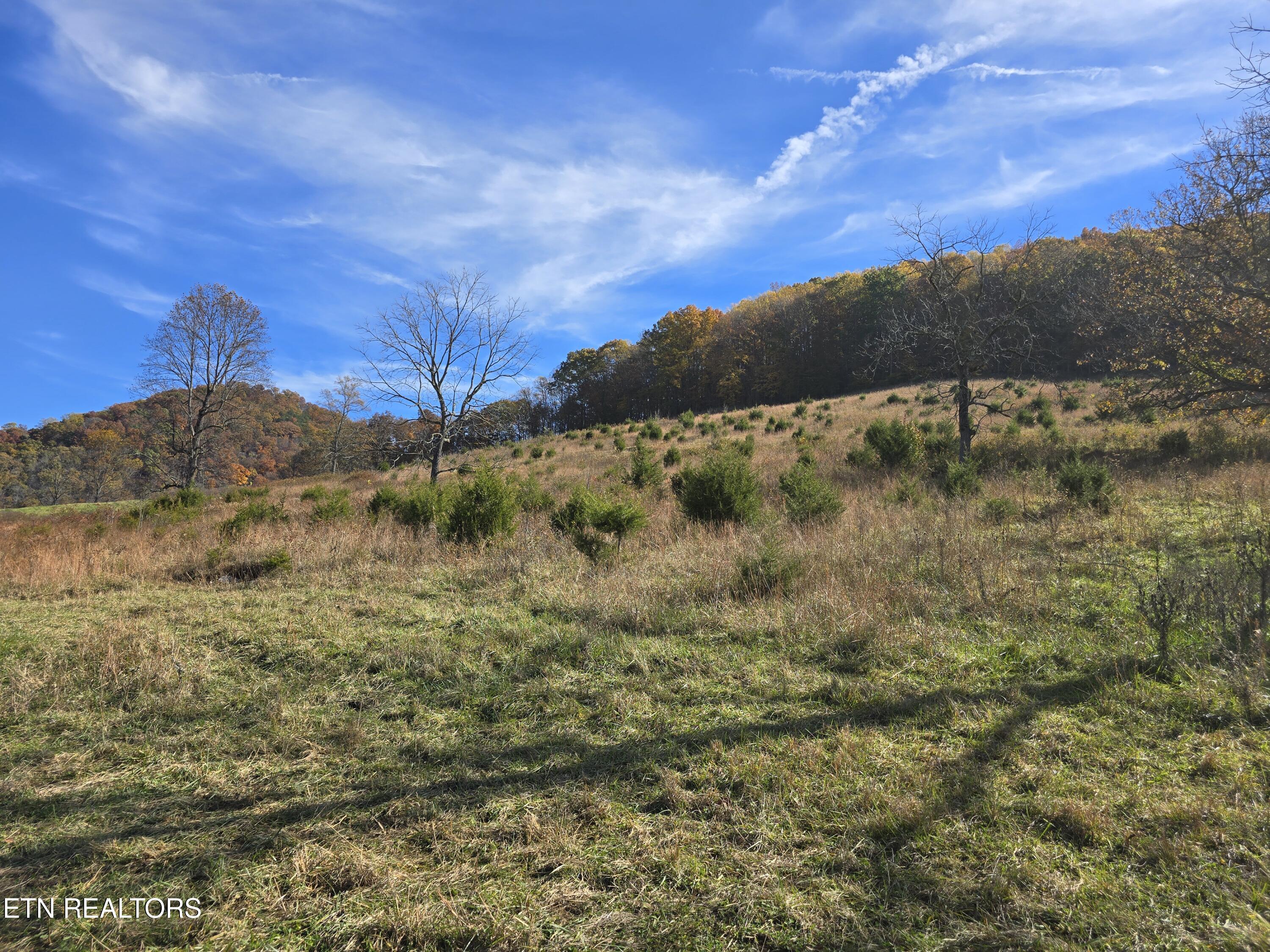 2391 Hogskin Road Washburn, TN 37888 - Photo 20 of 30 2391 Hogskin Rd