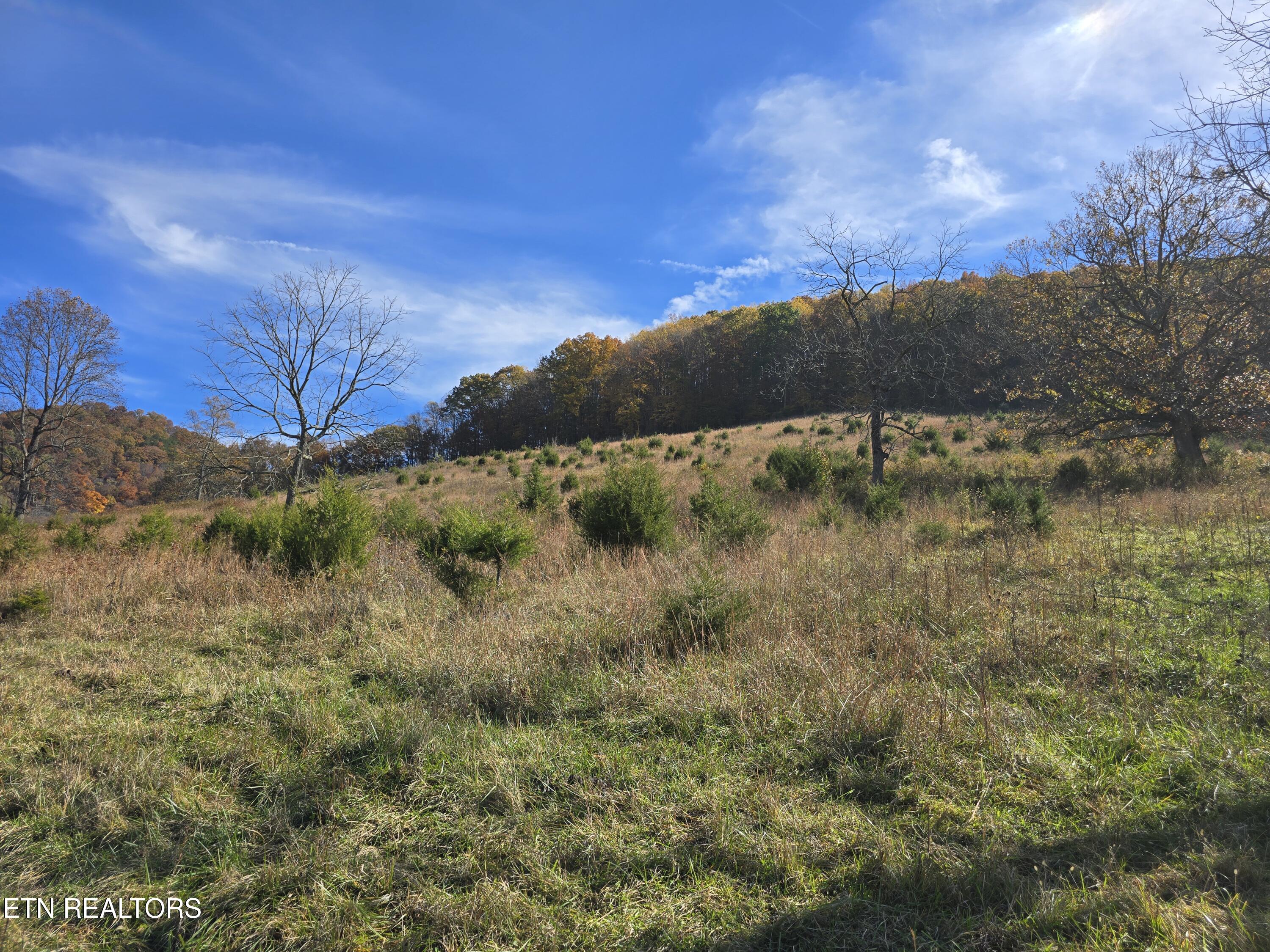 2391 Hogskin Road Washburn, TN 37888 - Photo 24 of 30 2391 Hogskin Rd
