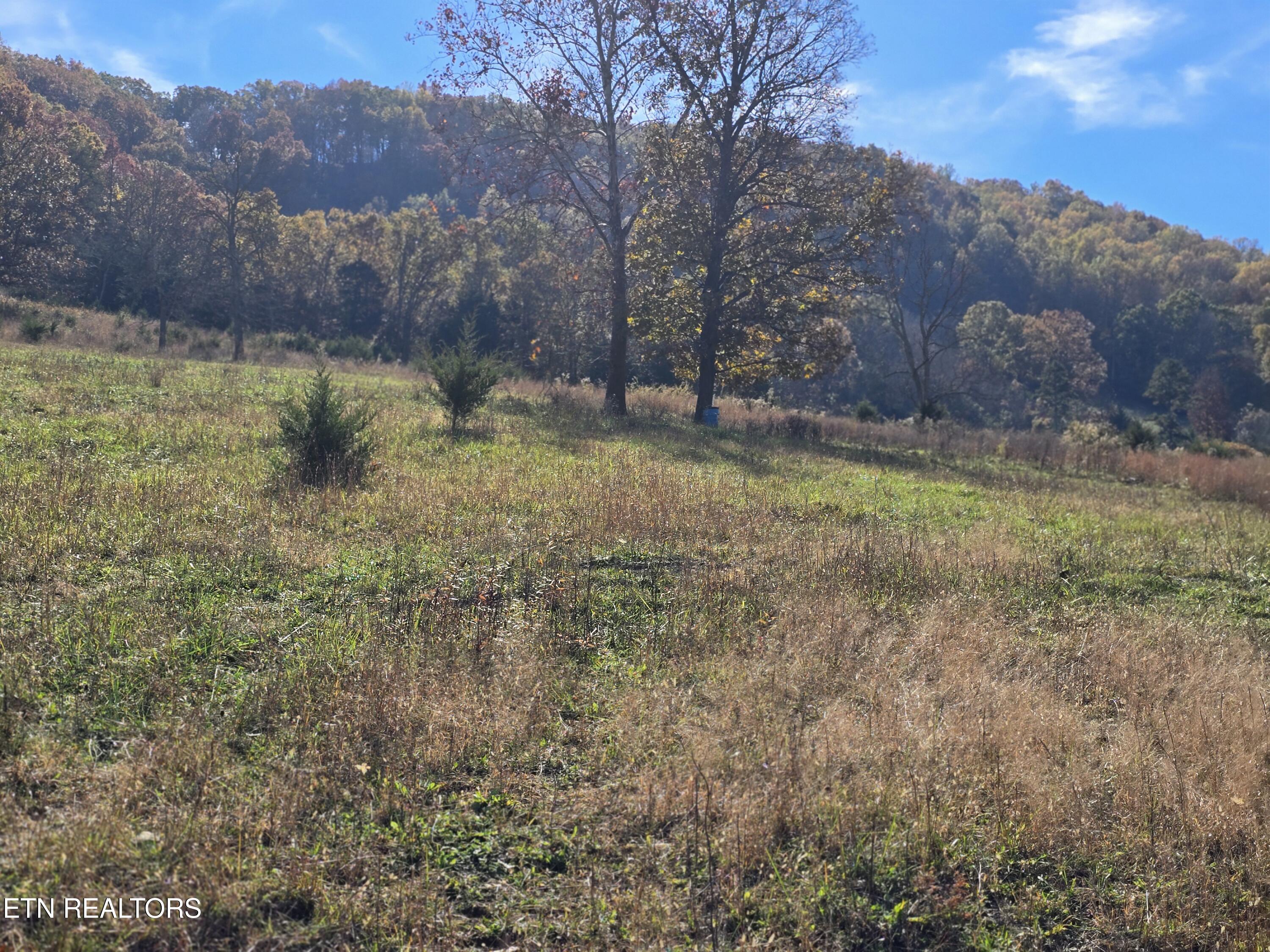 2391 Hogskin Road Washburn, TN 37888 - Photo 29 of 30 2391 Hogskin Rd