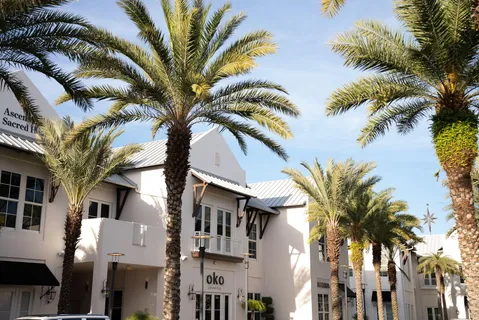 $1,325,000 | 34 West Majestic Palm Dr Inlet Beach, Inlet Beach, FL 32461