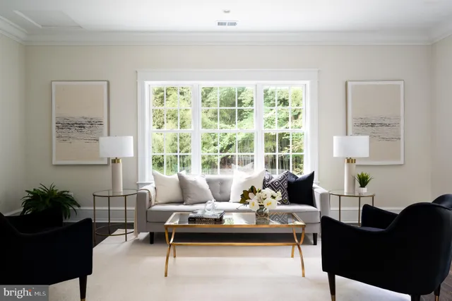 a living room with furniture a large window and a potted plant