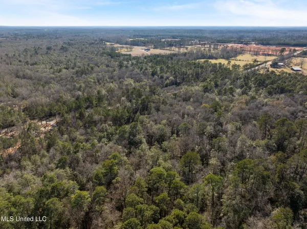 $79,900 | 7.21-acres 7.21-acres Ms-44, Sumrall, MS 39482