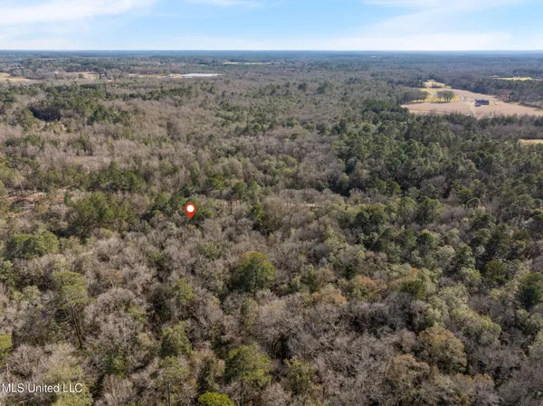 $79,900 | 7.21-acres 7.21-acres Ms-44, Sumrall, MS 39482
