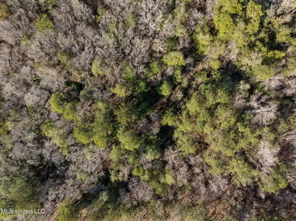 $79,900 | 7.21-acres 7.21-acres Ms-44, Sumrall, MS 39482