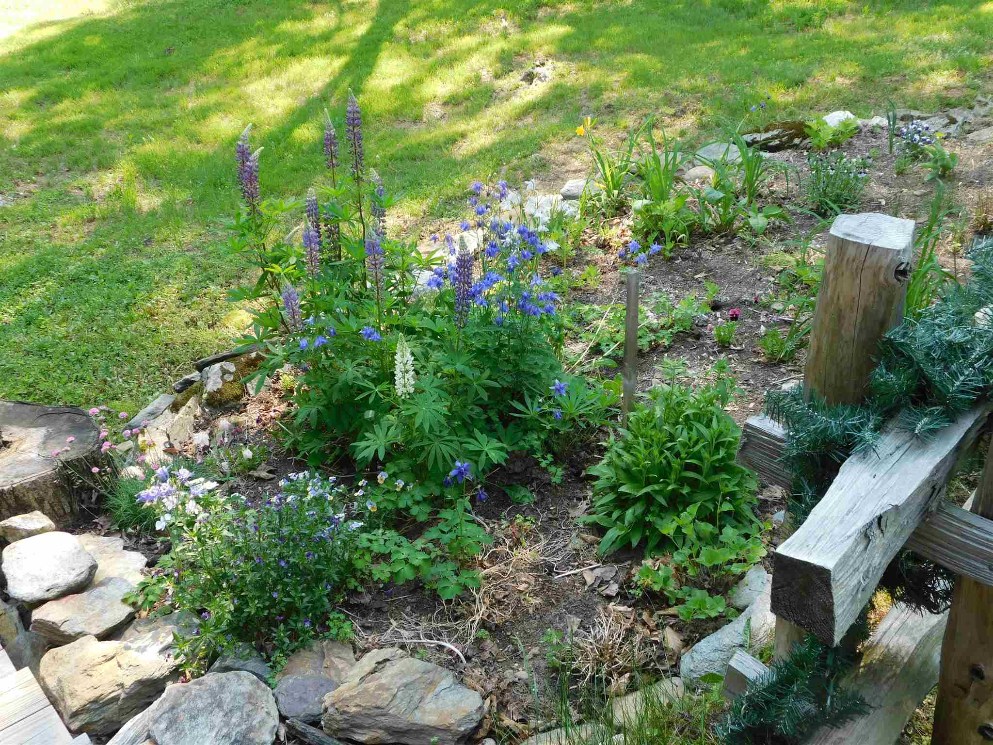 390 North Hill Road Westfield, VT 05874 - Photo 17 of 38