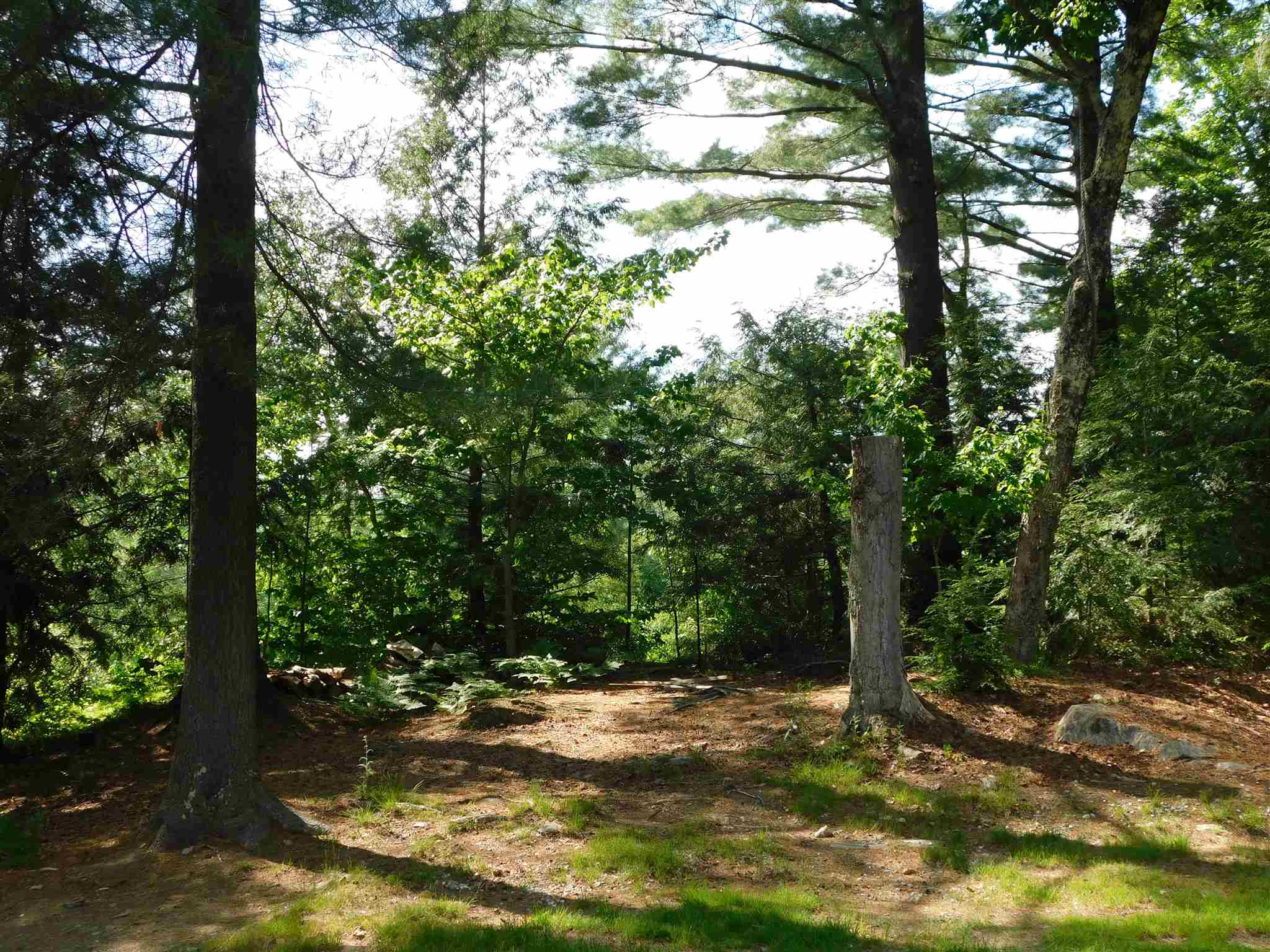 390 North Hill Road Westfield, VT 05874 - Photo 33 of 38