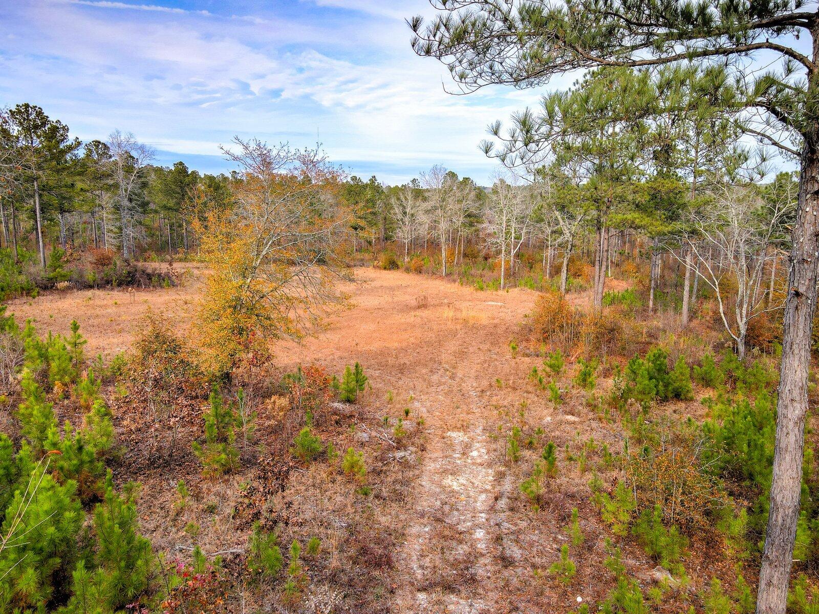 0 Deer Run Road, Unit B Williston, SC 29853 - Photo 2 of 19 Gallery Image 2