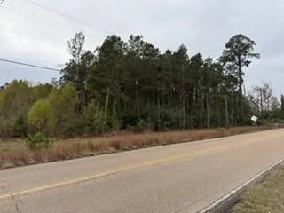 $86,000 | 6.203-tbd 6.203-tbd 441st Highway, Holden, LA 70744