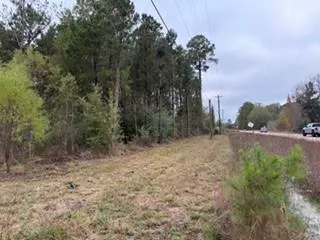 $86,000 | 6.203-tbd 6.203-tbd 441st Highway, Holden, LA 70744