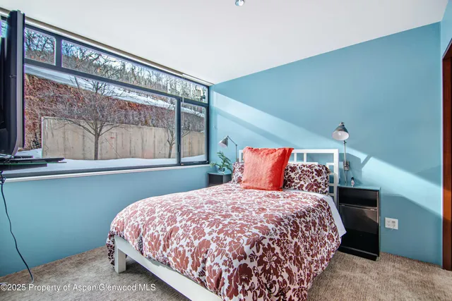 $40,000 | 305 Larkspur Lane, Aspen, CO 81611