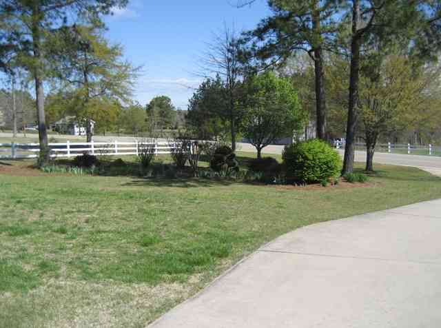 1229 Chapman Road Belton, SC 29627 - Photo 18 of 24