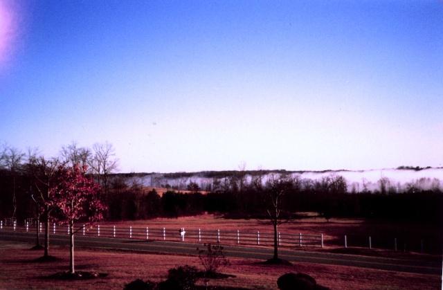 1229 Chapman Road Belton, SC 29627 - Photo 24 of 24