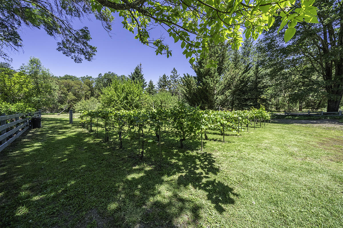 7785 Old Stage Road Central Point, OR 97502 - Photo 45 of 47 a view of a big yard with large trees