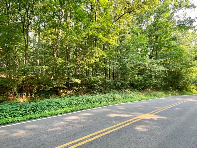2.8-ac Deep Draw Road Crossville, TN 38555 - Photo 2 of 5 IMG_1676