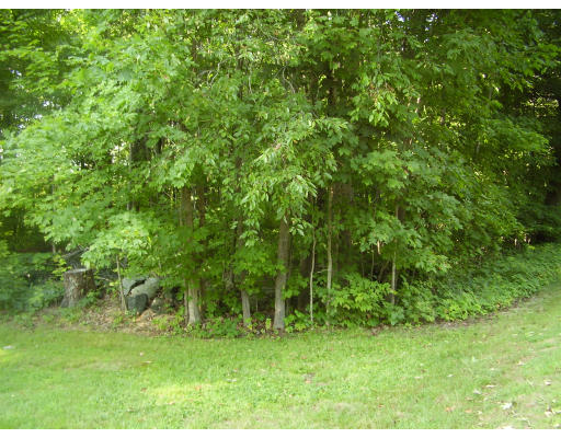 2424 Greenwich Road Hardwick, MA 01082 - Photo 3 of 17