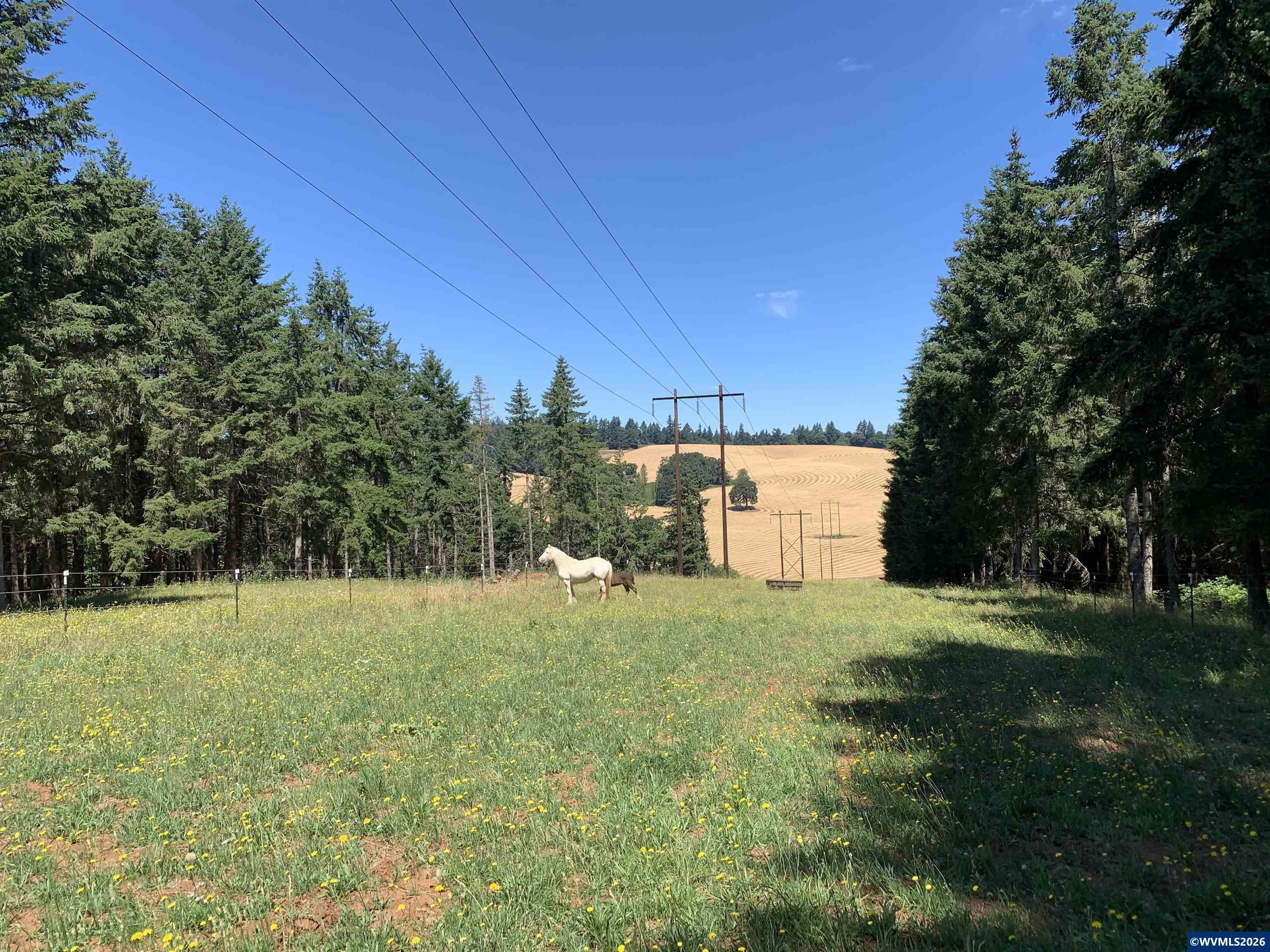 6135 Skyline Road South Salem, OR 97306 - Photo 44 of 48