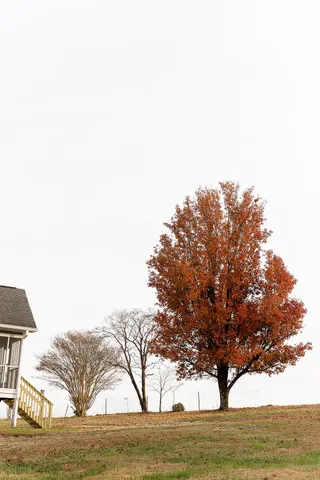 $450,000 | 218 Golden Oaks Drive, LaFayette, GA 30728