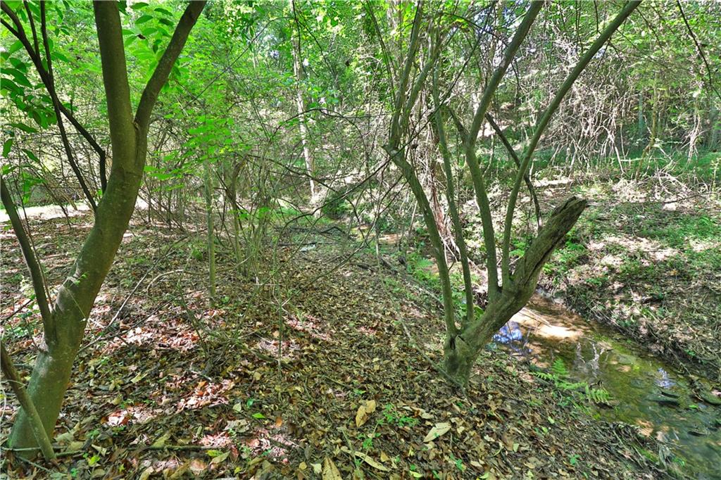353 Fall View Court Winder, GA 30680 - Photo 60 of 61 a view of a lush green forest