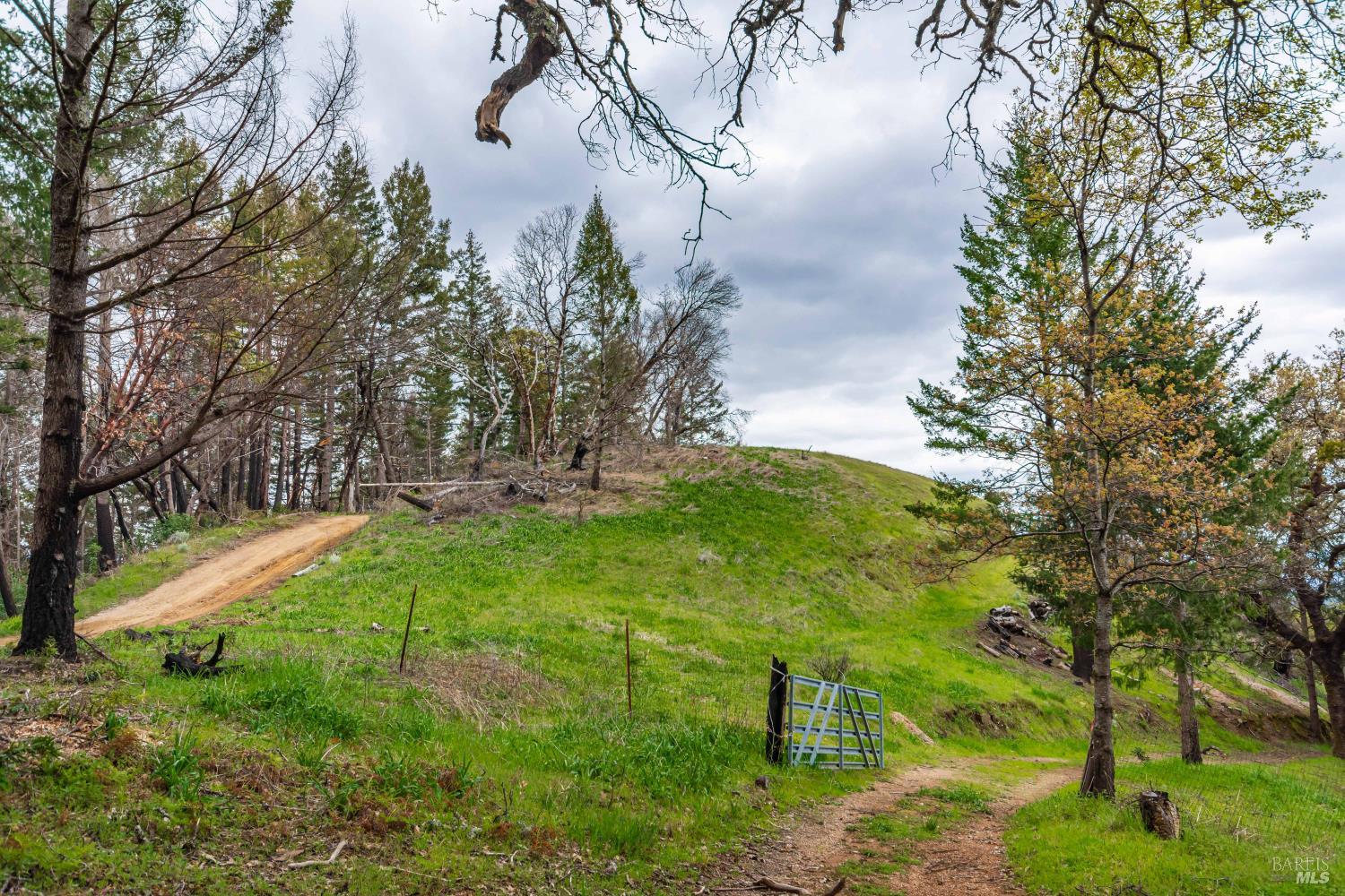 1401 Big Ridge Road Healdsburg, CA 95448 - Photo 75 of 86