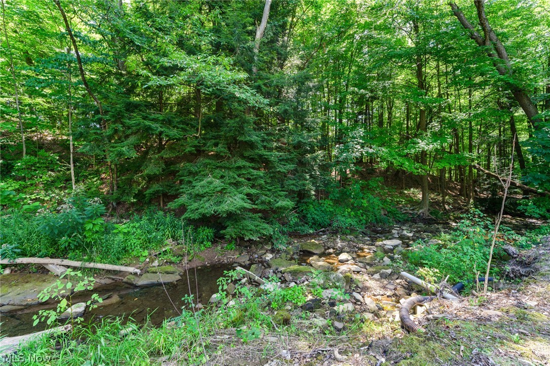 6297 Kirk Road Canfield, OH 44406 - Photo 23 of 29 Gallery Image 23