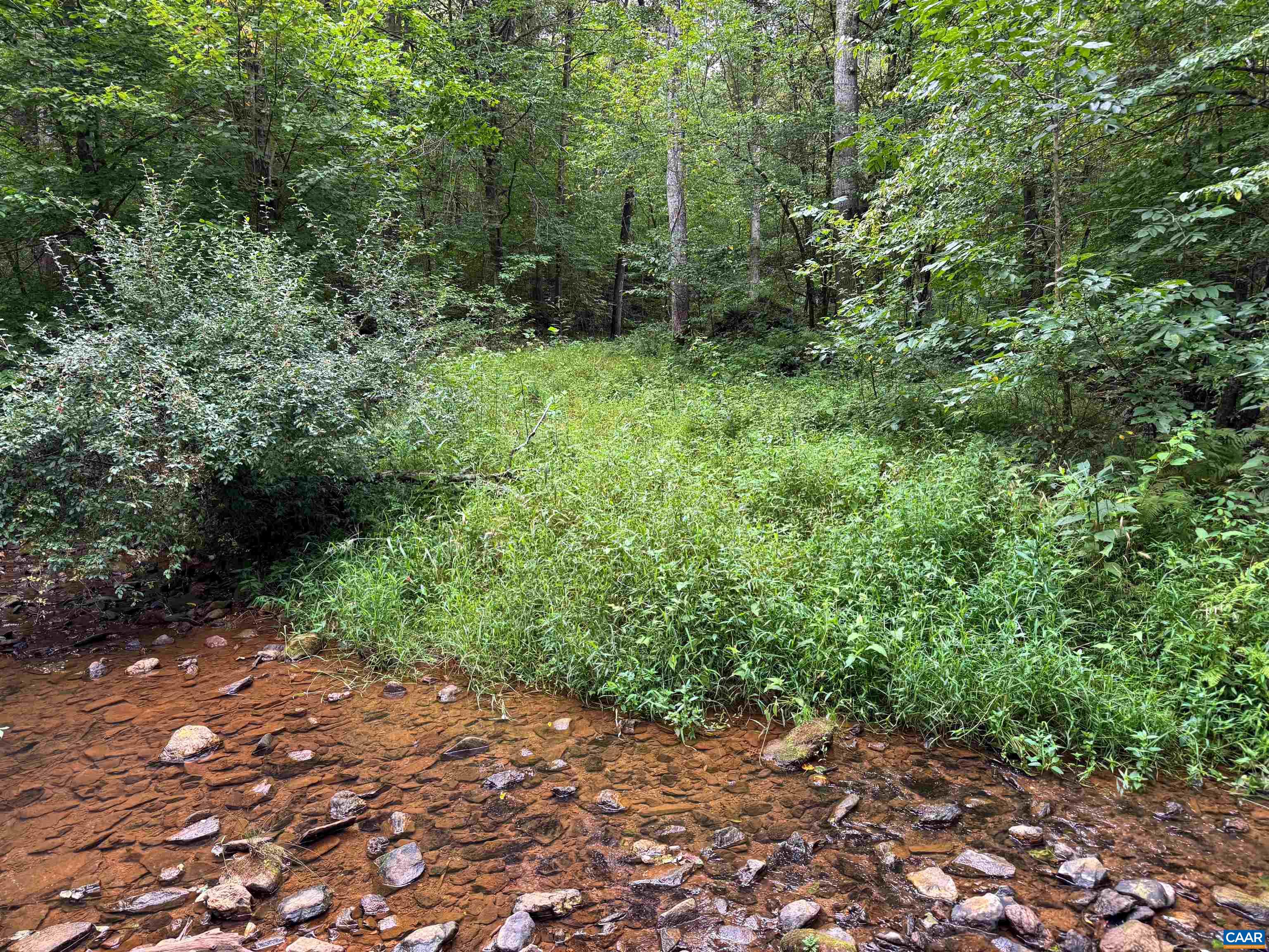 Tba Old Green Mountain Road Esmont, VA 22937 - Photo 5 of 33