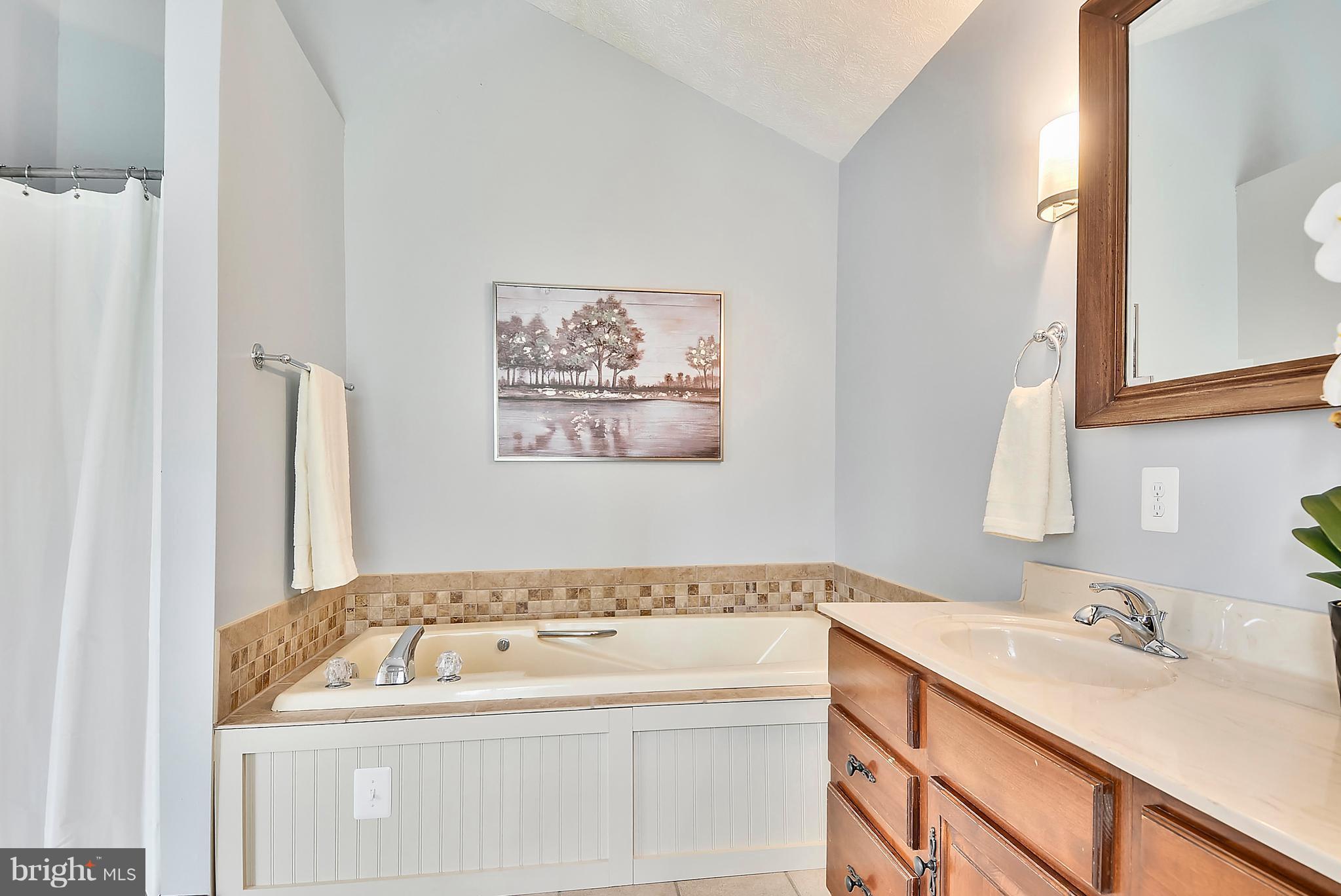 3701 Green Spring Road Havre de Grace, MD 21078 - Photo 14 of 30 Bath (Master)