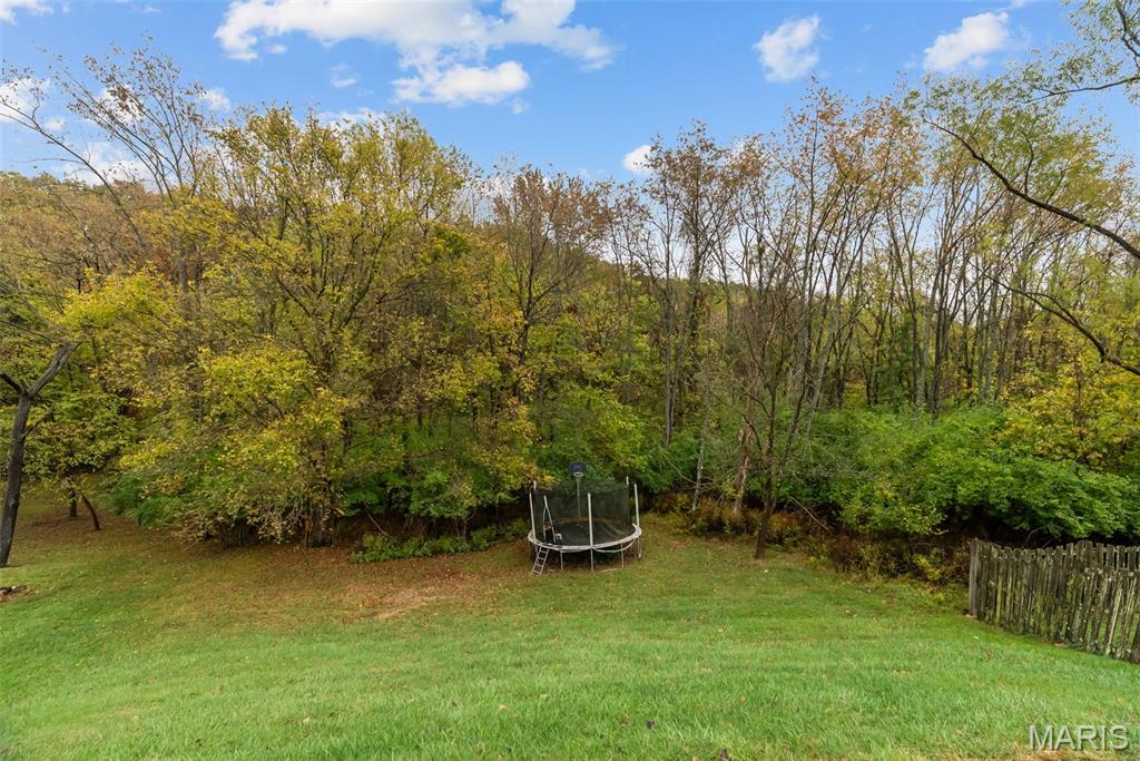 1604 Ivy Chase Lane Fenton, MO 63026 - Photo 4 of 50