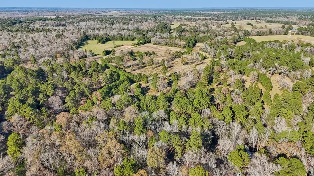 $45,000 | 0 Bay Tree Street, Trinity, TX 75862